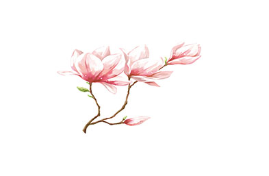 VI設(shè)計(jì)常有的問(wèn)題
